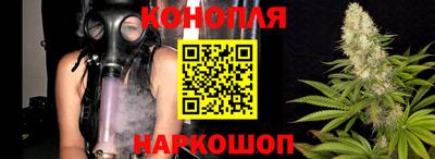 каннабис Новозыбков