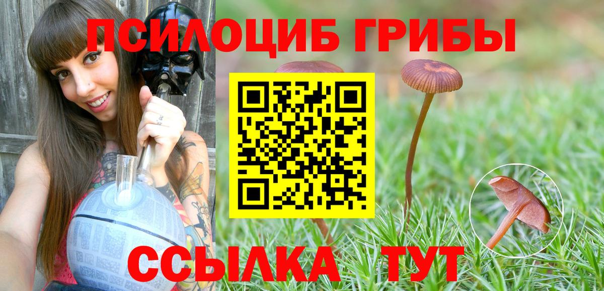 Псилоцибиновые грибы мицелий  Вход с VPN  Галлюциногенные грибы GOLDEN TEACHER  магазин  наркотиков  Самара 