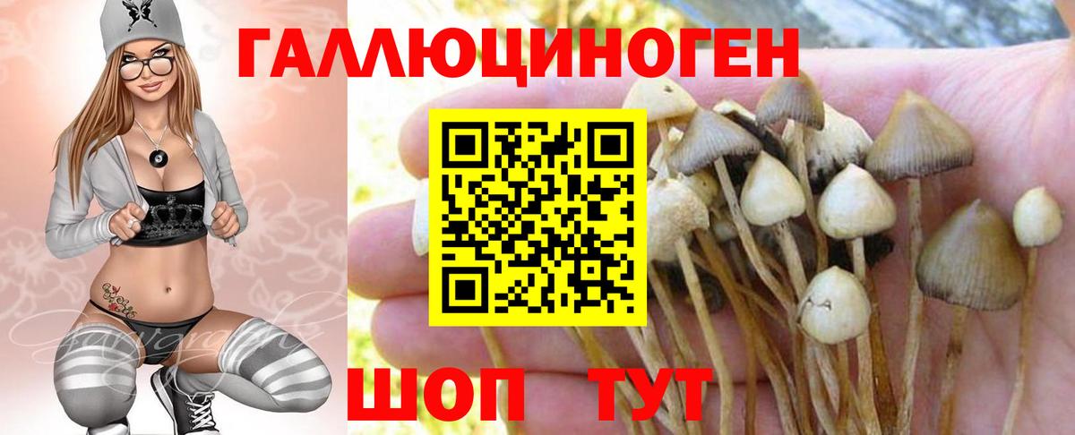 Псилоцибиновые грибы мицелий Самара